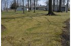 Property photo 9 - 3.4 Acres Offered in 2 Tracts - 3 Bedroom Ranch Home plus Additional Lot